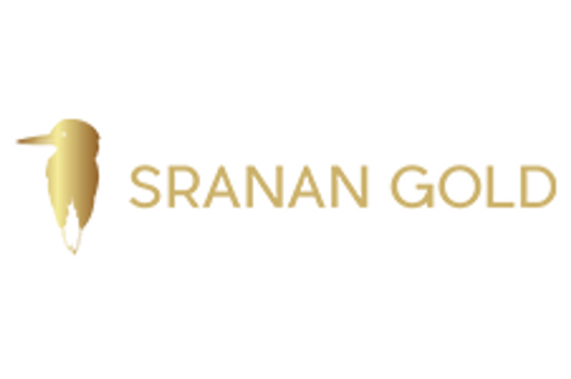 Investor Insight                                
Sranan Gold offers early-stage exposure to a high-impact gold discovery in Suriname’s Guiana Shield, one of the world’s most underexplored gold belts. Backed by the same technical team behind some of the region’s largest gold discoveries, Sranan is a high-leverage discovery story in a mining-friendly jurisdiction.
                            Overview                                
Sranan Gold (CSE:SRAN,FSE:P84) is a junior explorer operating in Suriname, a South American nation producing more than 600,000 oz of gold per year. Sranan’s main asset is within Suriname’s prolific Guiana Shield, one of the world’s most underexplored gold belts. 
<em><em>Sample collected from the Tapanahony project’s Poeketi pit.</em></em>
The company’s flagship asset, the 29,000-hectare Tapanahony gold project, overlays a historic mining belt with strong geochemical and structural indicators. Sranan’s objective is straightforward: convert local knowledge, legacy drill data and modern tools into an inaugural gold resource over a 4.5 km mineralized corridor.
Backed by one of the most credentialed gold discovery teams in Suriname, credited for the Merian, Rosebel and Saramacca deposits, the company is targeting hard-rock gold potential beneath proven saprolite zones with plans to fast-track drilling, build community partnerships and expand its concession footprint.
                            Company Highlights                                
<strong>District-scale land position: </strong>The 29,000-hectare Tapanahony project covers one of Suriname’s oldest and most productive artisanal mining districts, offering untested hard-rock upside within the Guiana Shield, home to numerous multi-million-ounce gold deposits.
<strong>Immediate drill targets: </strong>A 10,000-metre diamond drilling program is set to kick off in 2025 across the 4.5 km Poeketi-Randy trend, targeting high-grade shear zones validated by historic IAMGOLD drilling.
<strong>World-class discovery pedigree: </strong><strong>The technical team has led or co-led discoveries at Merian (7 Moz, Newmont), Rosebel (13.7 Moz, now Zijin) and Saramacca (1.5 Moz).</strong>
<strong>Deep in-country knowledge: </strong>Geologists are locally trained at Anton de Kom University and have decades of experience in Suriname’s regolith-dominated terrain.
                            Key Project                                
Tapanahony Gold Project
The Tapanahony gold project is Sranan’s flagship asset, covering a 29,000-hectare land package in southeastern Suriname. The project lies within the Guiana Shield, a well-endowed Paleoproterozoic terrane that hosts multiple Tier-1 gold systems. The property sits at the intersection of regional NW-striking structures, the large NE-SW Tapanahony structure and older NE-SW fabric, forming a favorable setting for orogenic gold emplacement. These structural fabrics, crenulated by later deformation events, are visible in recent LiDAR and magnetic datasets and provide excellent ground preparation for high-grade shear-hosted deposits.
Local miners have long exploited the saprolite horizons here, especially around the Poeketi-Randy zone, and Sranan’s exploration strategy is to transition that surface gold production into a defined, hard-rock resource. The project has seen more than US$10 million in historical exploration, including geochemical soil surveys, auger and panning programs by the UN and Golden Star, and 4,000 metres of diamond drilling by IAMGOLD. They have confirmed the presence of extensive mineralization, including intercepts such as 4.2 grams per ton (g/t) gold over 13.5 m and 39.3 g/t gold over 2 m at the Randy pit. These results suggest steeply dipping, fault-controlled mineralization within a metavolcanic host package, drawing parallels to the structurally hosted gold at the Saramacca, Antino, Merian and Rosebel mines.
The 2025 Phase 1 program is targeting this trend with 10,000 metres of diamond drilling. It will infill and extend the 4.5 km mineralized corridor and test additional parallel shear zones revealed by LiDAR and soil geochemistry in the western lobe of the concession. Sranan plans to reprocess historical drill data, conduct soil/silt sampling, trenching and trench mapping, with field teams prioritizing locations where artisanal mining is ongoing but remains underexplored by modern methods.
Geophysical interpretation highlights a property-scale NW shear zone crosscutting a penetrative NE-SW fabric, which has led to localized folding and thickened mineralized zones. Commonly described by the team as the “double folded” system, they extend across eastern Suriname into Guyana and French Guiana. This orogenic system is thought to be analogous to the geology that underpins other major discoveries in the belt.
Sranan’s Phase 1 campaign also aims to generate new targets through high-resolution LiDAR imaging, which has already revealed three parallel mineralized corridors and topographic inversions associated with lateritic terraces, a common concealment mechanism for mineralization in this region. Pending early success, the company plans to expand drilling into the western lobe, pursue adjoining concessions, and delineate a resource.
                            Management Team                                
Oscar Louzada – CEO and Director
Fluent in Dutch and active in Suriname for over a decade, Oscar Louzada has taken two Suriname-based exploration companies to IPO (Sela Kriki and Nassau, now Miata Metals). With 25+ years’ experience in natural resources finance (Canaccord, Investec), he brings capital markets depth and local execution credibility.
John Williamson – Chairman
Geologist and co-founder of Founders Metals, John Williamson is credited with >10 Moz in gold discoveries and nearly $1 billion raised. He was an early believer in Tapanahony’s potential and a key seed investor.
Dennis LaPoint – EVP, Exploration and Corporate Development
Dennis LaPoint is a veteran geologist with 35+ years’ experience. LaPoint discovered Merian (Newmont, 7 Moz) and oversaw major exploration programs at Rosebel and Omai. He leads strategy and resource targeting, and sits on multiple boards, including ASBOG. He also teaches geology at Anton de Kom University in Paramaribo in Suriname.
Rayiez Bhoelan – VP, Exploration 
A Surinamese national and key member of the Saramacca discovery team (IAMGOLD, 1.5 Moz), Rayiez Bhoelan specializes in regolith geology and shear zone mapping. He has worked across the Guiana Shield at Omai and Founders Metals, and lectures locally on geochemistry.
Mario Stifano – Director and Audit Chair 
Mario Stifano is a CPA and seasoned mining executive with prior leadership roles at Cordoba Minerals, Lake Shore Gold and Galantas Gold. He led the 2020 acquisition and re-listing of Omai Gold Mines in Guyana.
This post appeared first on investingnews.com Sranan Gold